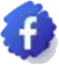 arena facebook