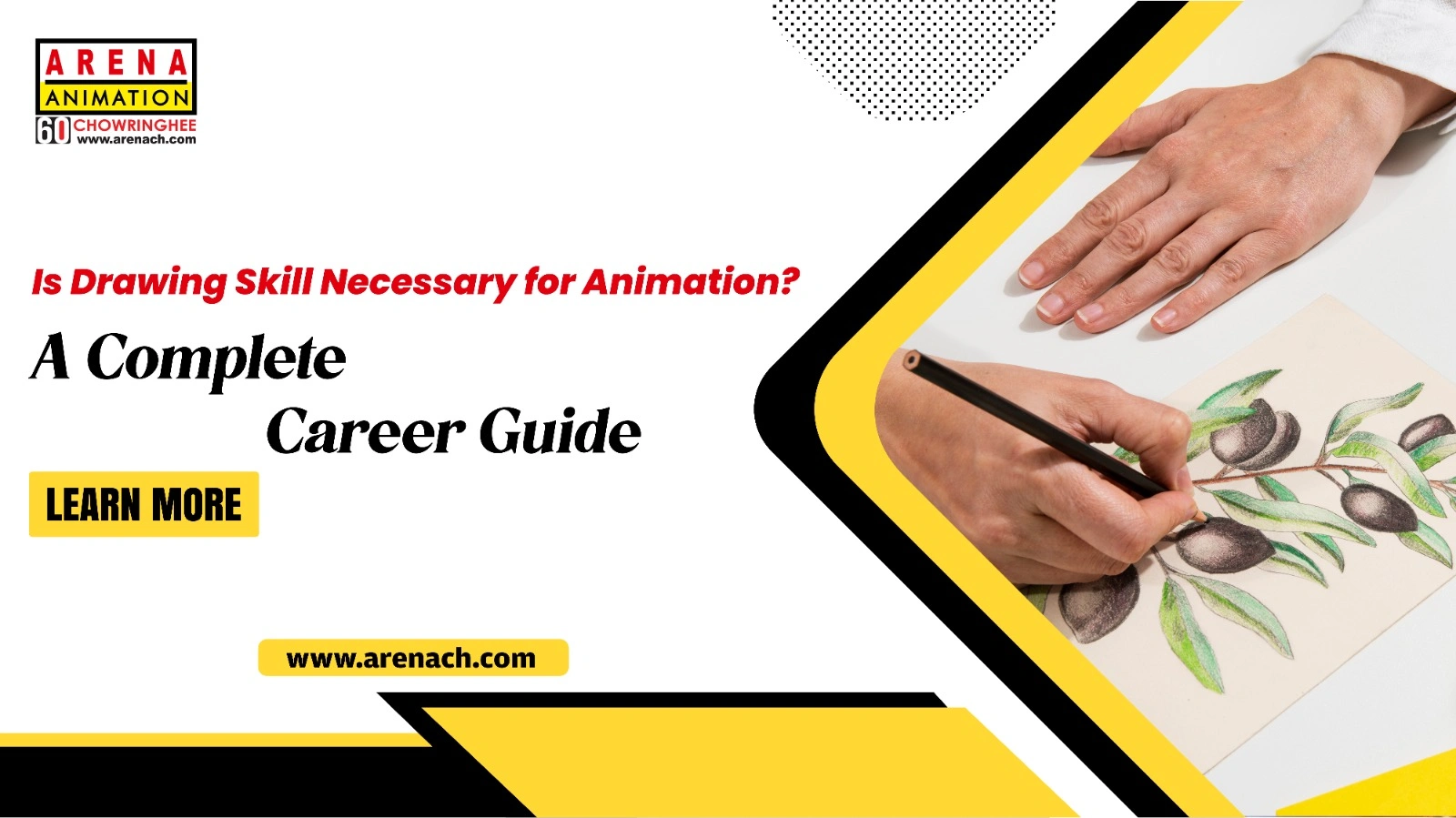 Is Drawing Skill Necessary for Animation? A Complete Career Guide